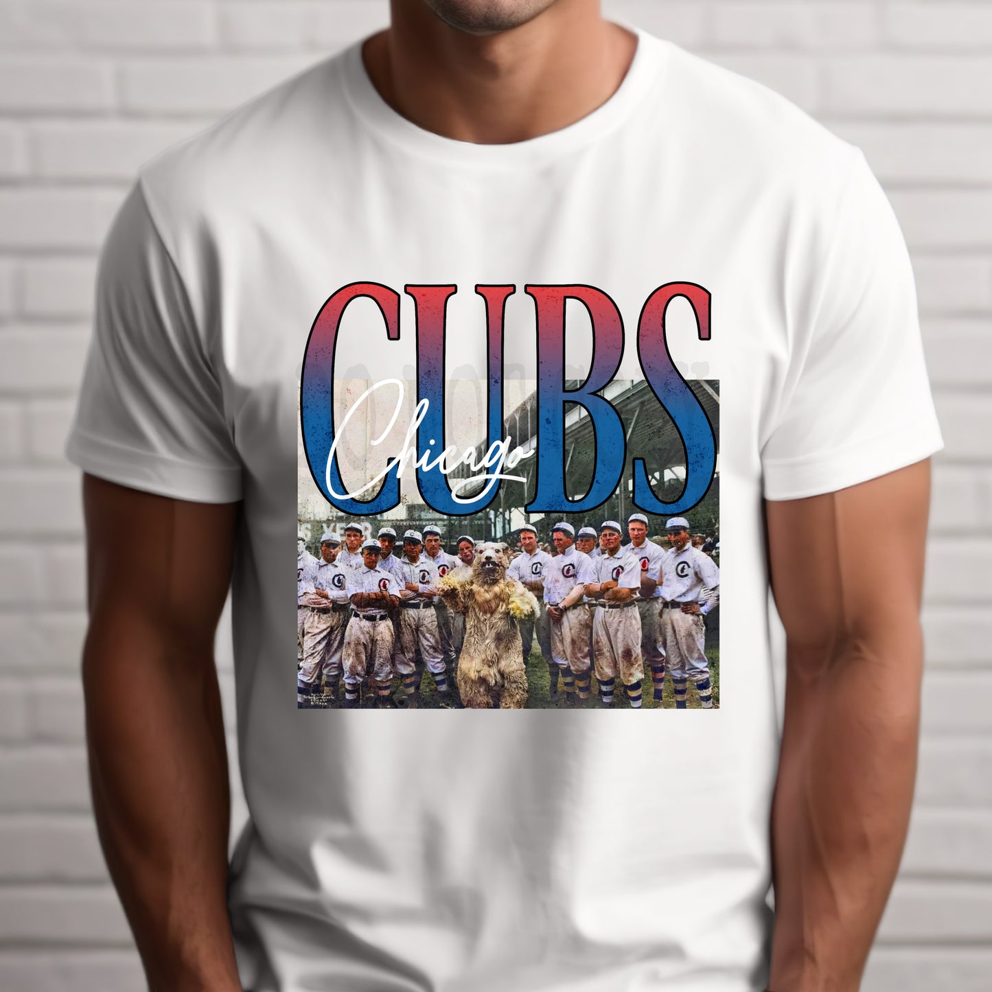 Cubs #4257 - Ready to Press DTF Transfer Full Color