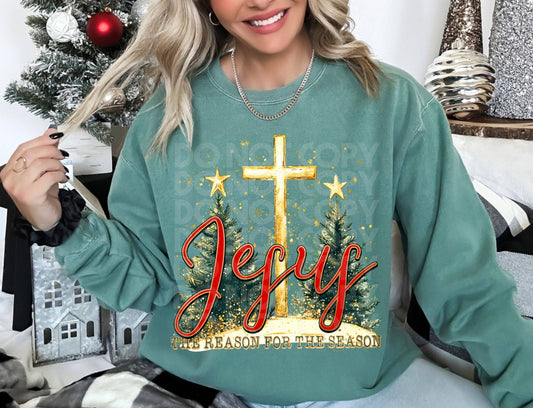 Jesus The Reason #4040 - Ready to Press DTF Transfer Full Color