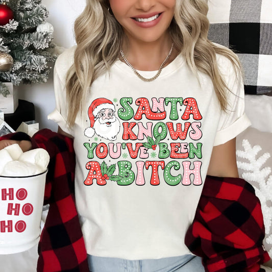 Santa Knows You've Been A B #4110 - Ready to Press DTF Transfer Full Color